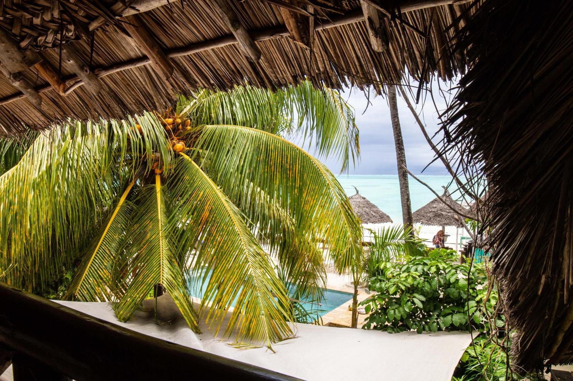 Villa Bahati Zanzibar 잠비아니 외부 사진