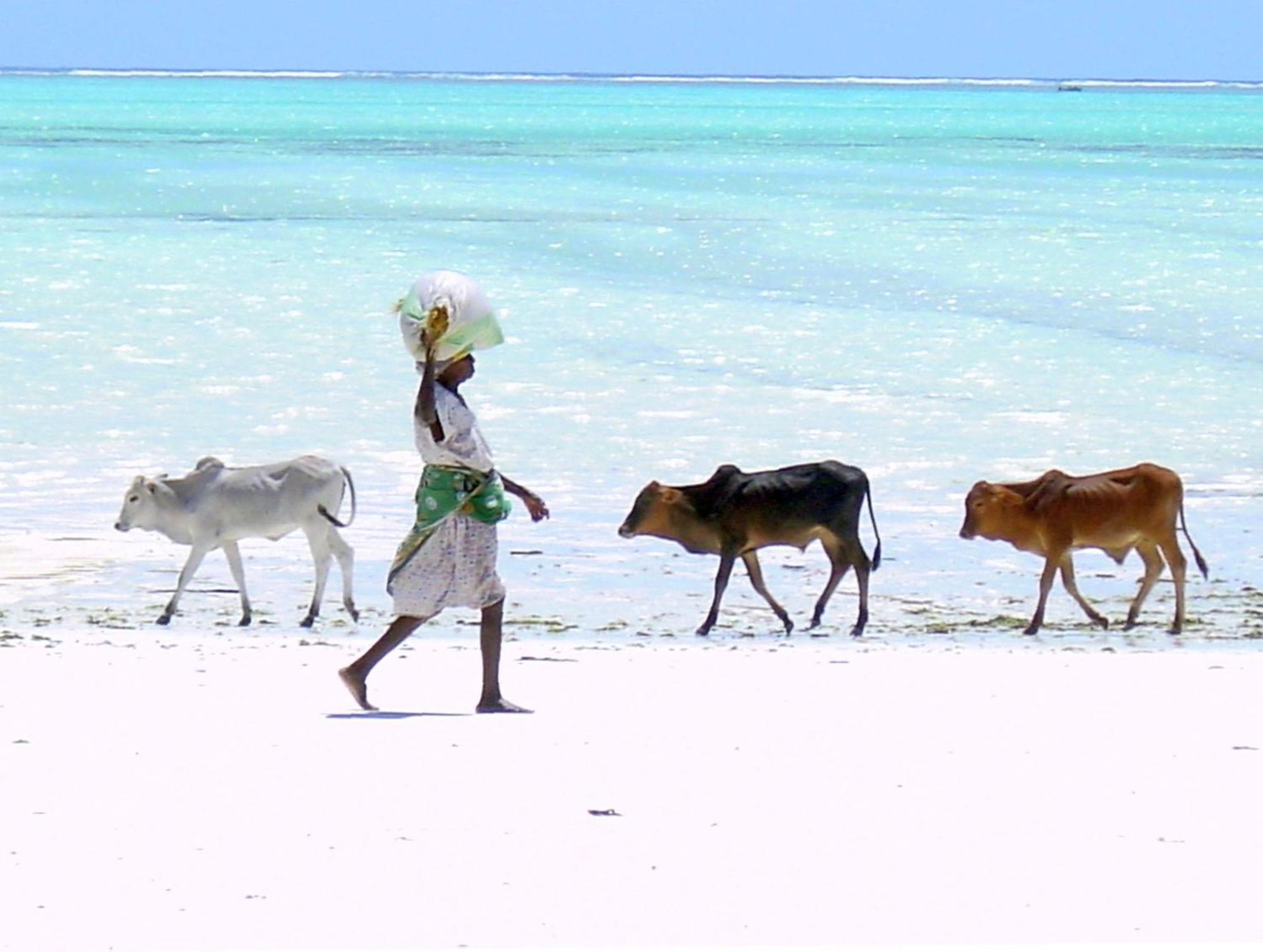 Villa Bahati Zanzibar 잠비아니 외부 사진